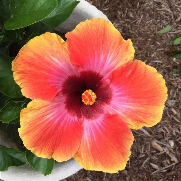 Make an offer on any like!!! - Picture 1 of 1